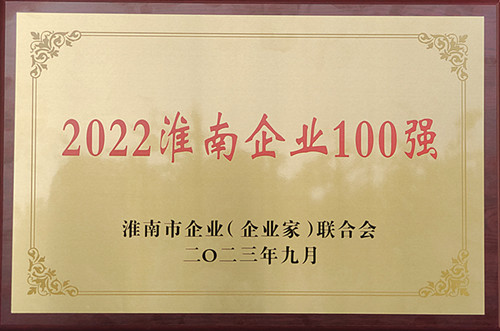 2022淮南企业100强