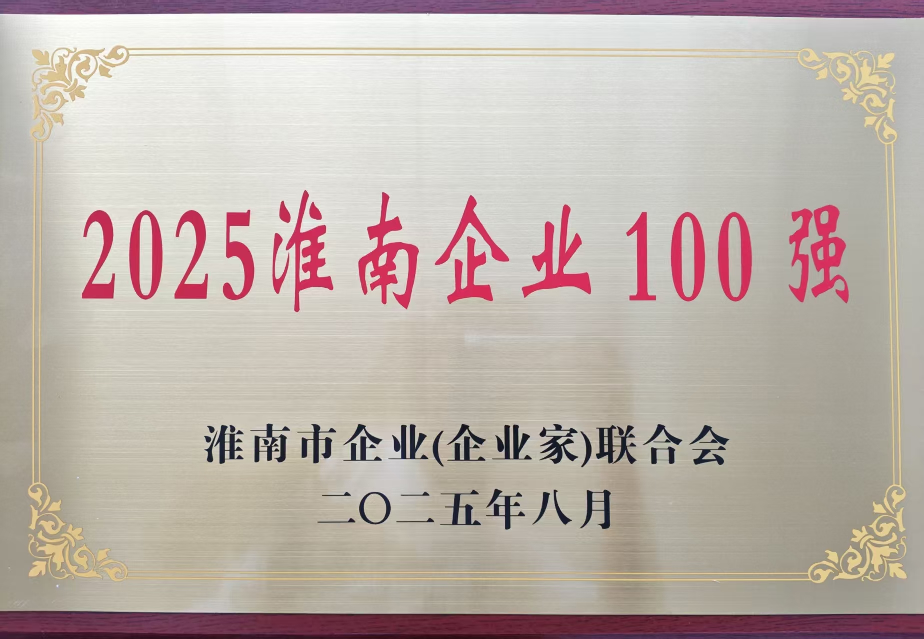 2025淮南市100强企业